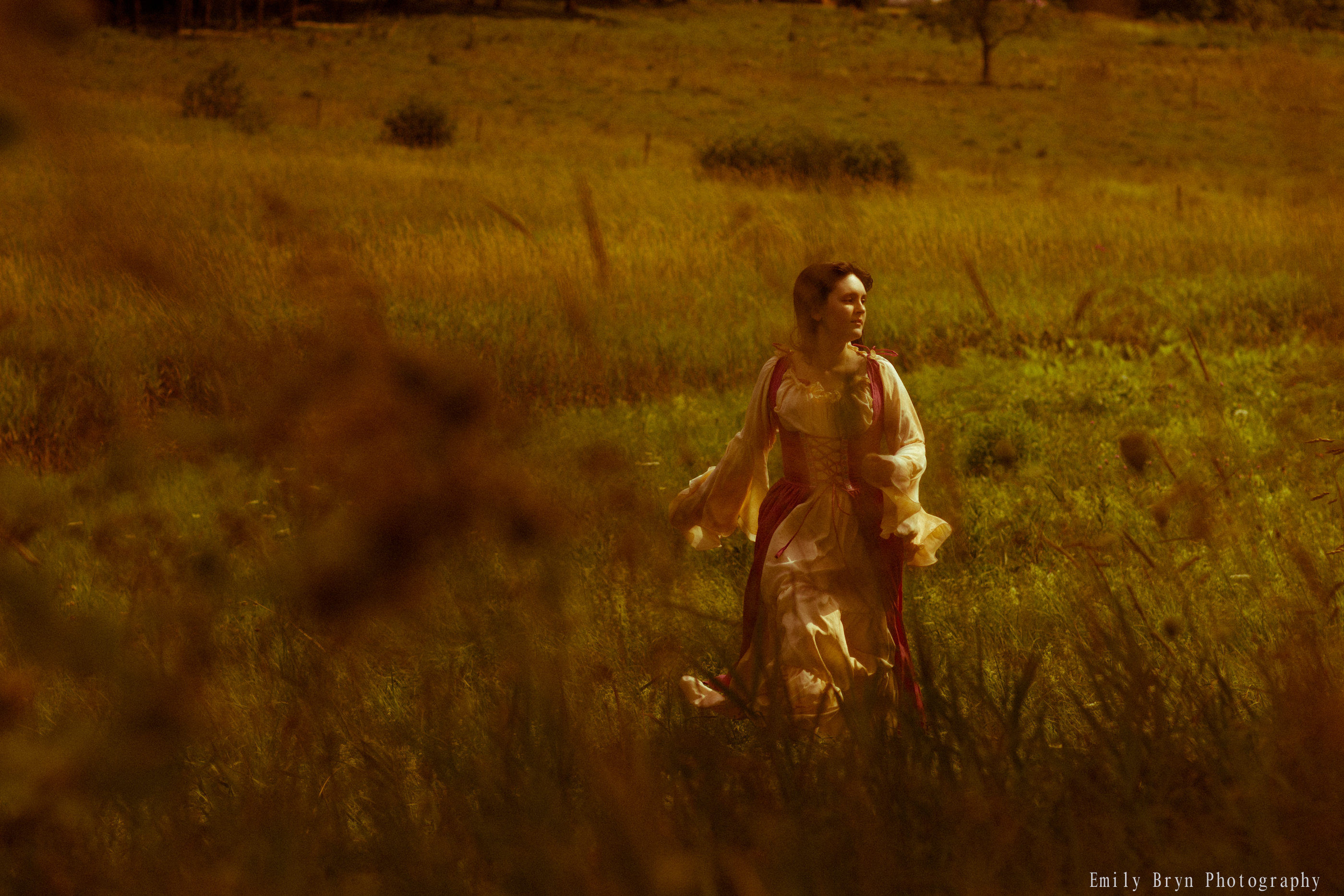 Woman standing in a field, wearing a renaissance dress.